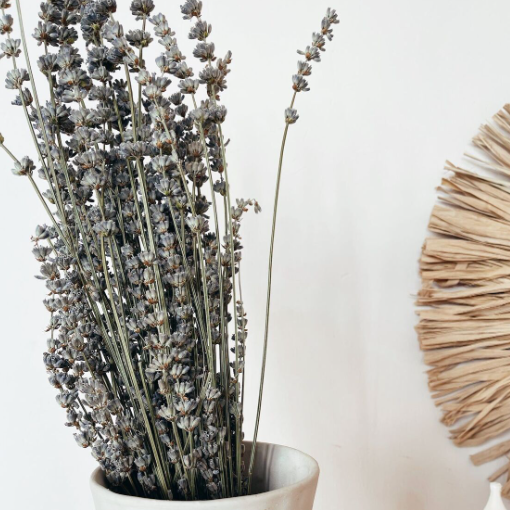 Fleurs séchées à la lavande