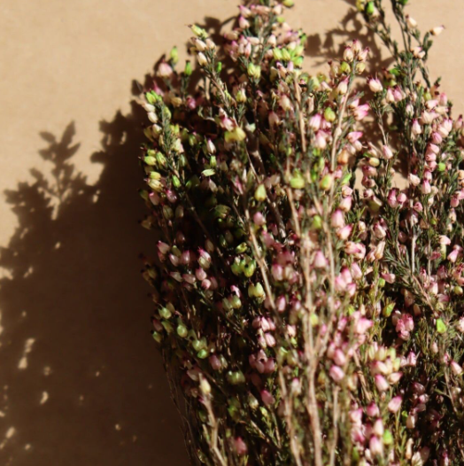 Bouquet de bruyère stabilisée - 35-40cm - Rose-Vert