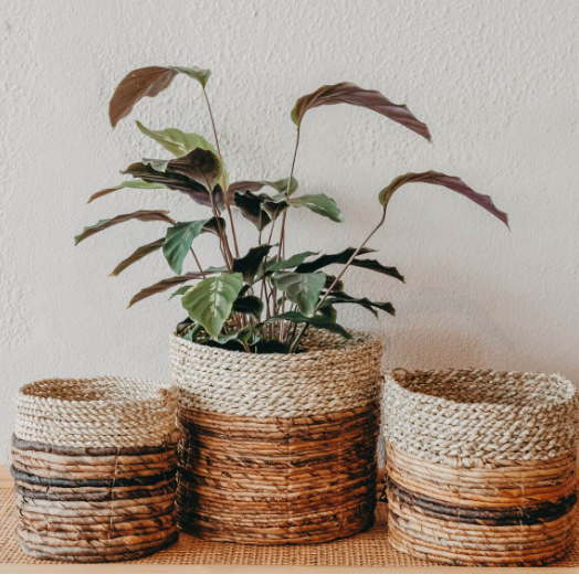 Panier Asmara Naturel