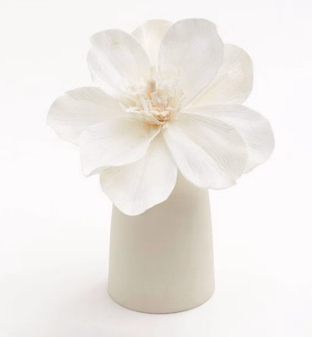 Vase diffuseur de parfum